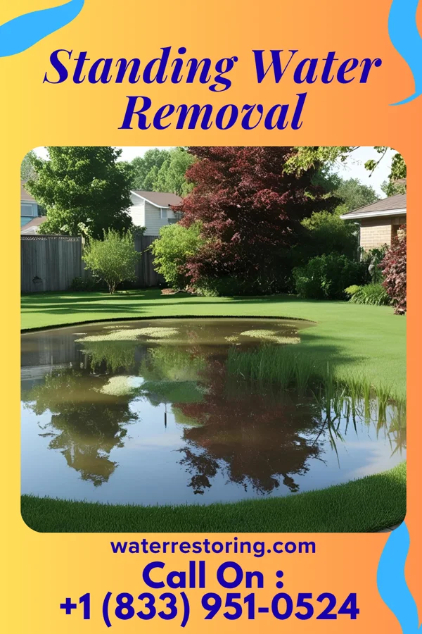 Standing Water Removal in Chrisman, IL